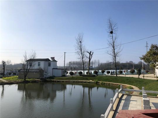 信阳市浉河区:村子美了,产业兴了,群众乐了